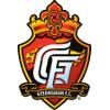 主队图片